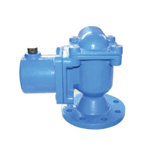 Double Air Valve