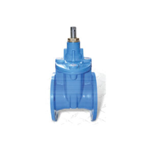 F4 RESILIENT GATE VALVE