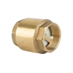 Spring Check Valve